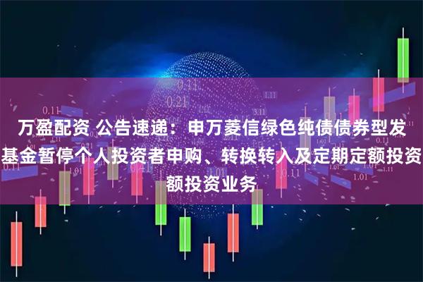 万盈配资 公告速递：申万菱信绿色纯债债券型发起式基金暂停个人投资者申购、转换转入及定期定额投资业务